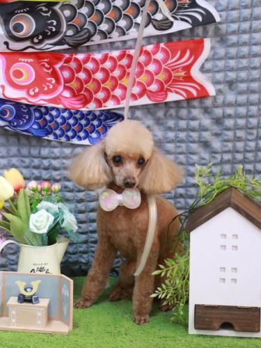 20230502リールちゃん